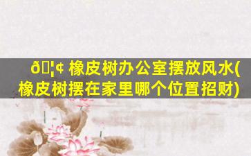 🦢 橡皮树办公室摆放风水(橡皮树摆在家里哪个位置招财)